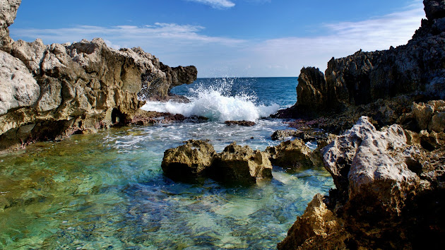 Cover photo