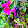 Lori Cannon Lori Cannon's profile photo