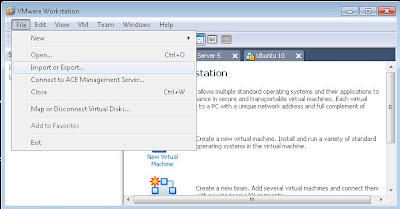 Exportar máquina virtual de VMware Workstation e importarla en VMware ESXi