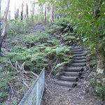 Wooden stairs between Grand Canyon and Evans LO (51935)