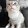 Claudy Hdez Claudy Hdez's profile photo