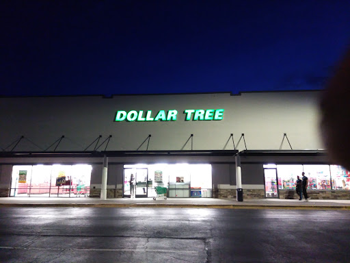 Dollar Store «Dollar Tree», reviews and photos, 4015 Holcomb Bridge Rd #500, Norcross, GA 30092, USA