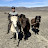 Paul Janssens avatar image