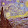 JessieVlog JessieVlog's profile photo