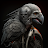 Mark J. Handy avatar image