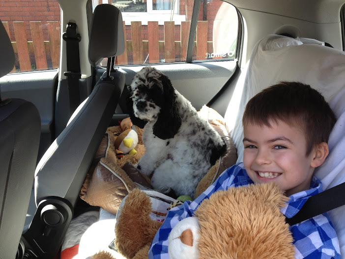 Ben Roters and Charlie Brown American cocker spaniel off to Rhosneigr