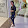 swati ghosh swati ghosh's profile photo