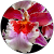 Rose H. Hanks Rose H. Hanks