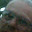 earl wallace's profile photo