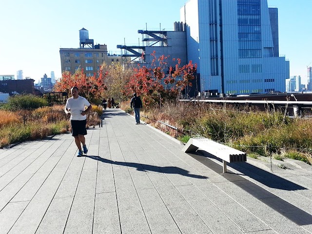 Friends of The High Line