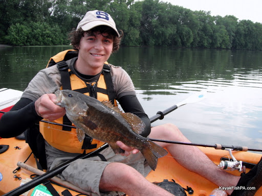 Smallmouth Bass
