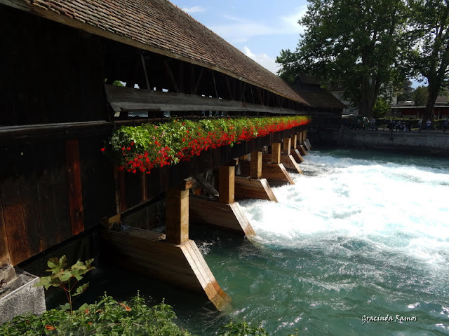 passeando - Passeando pela Suíça - 2012 - Página 13 DSC04631