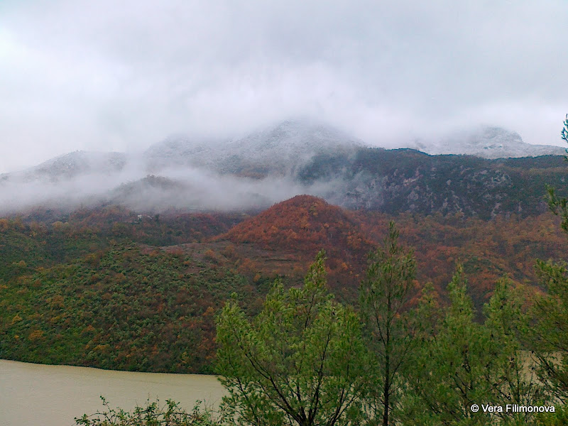 Шкопет, Албания