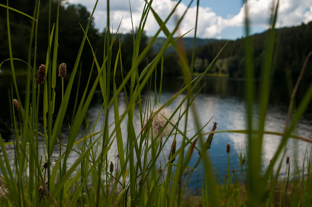 DIA 13 (09/08): Tubinga ; Lago Nagoldstau y pueblos de la Selva Negra (ALEMANIA) - ROADTRIP 2012 - EUROPA CENTRAL - 20 DIAS - 6400 Kms (Selva Negra / Alsacia / Hol (18)