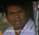 brahmi63.gif