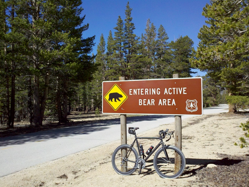 Eastern Sierra • Horseshoe Meadows