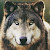 timber wolf109 