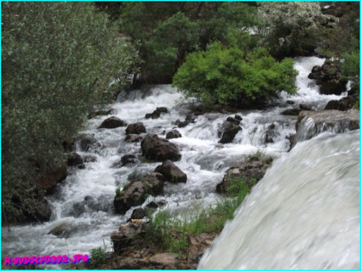 DSCF0392.JPG