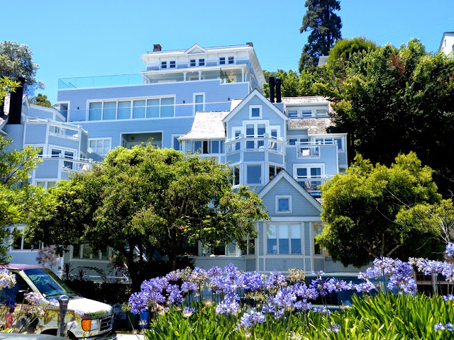 DIA-16. SAN FRANCISCO ( I ).Sausalito y Fisherman's Wharf - Los fascinantes parques del oeste americano. (11)