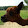 Johannes Müller Johannes Müller's profile photo