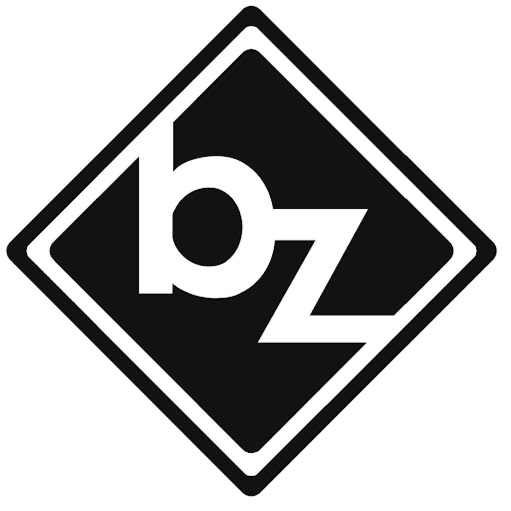 Body Zone Fitness Consulting logo