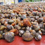 River clams seasoned with tamarind, chili and salt.  Sold on the street everywhere I went.