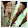 Crystal Castillo Crystal Castillo's profile photo