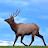 Kathryn Wesserling avatar image