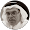 Abdul Rahman AlSenaidi