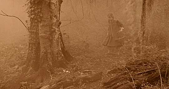The Beguiled Hosted by Picasa