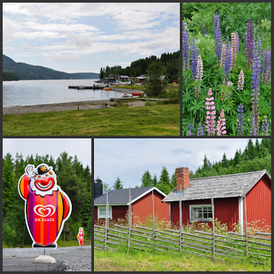 collage of images as described
