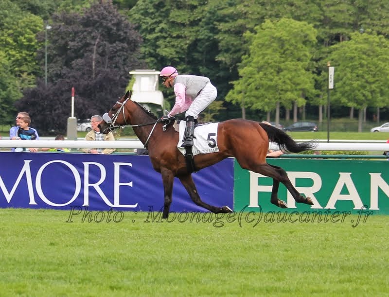 Photos Longchamp 25-05-2014 IMG_1446
