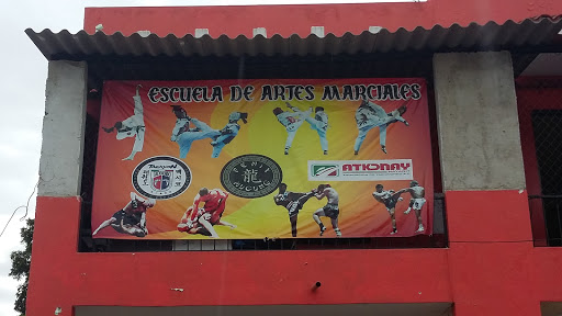 Taekwondo Fenix Mugung, Yucatán 15, Centro, 63737 San José del Valle, Nay., México, Escuela deportiva | NAY