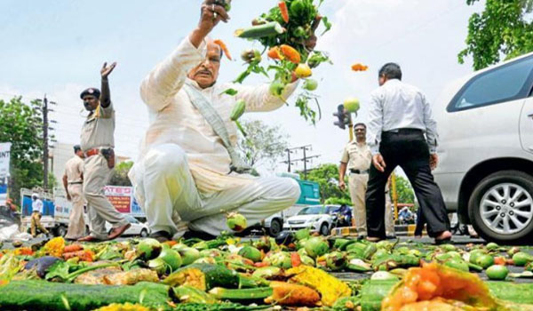 Strike of Farmers in 7 States, Vegetables Thrown on Roads