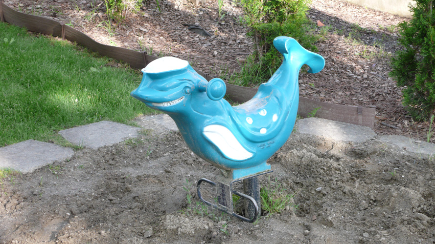 DOLPHIN