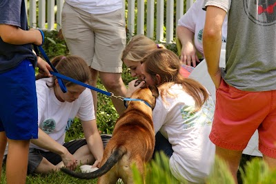 Photos of Golden Isles Animal Hospital