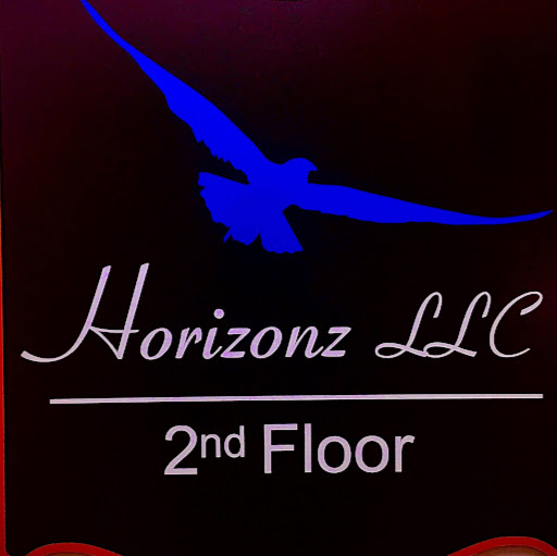 Horizonz LLC