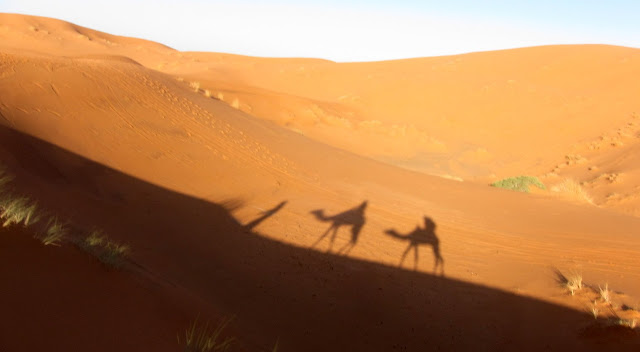 Camel trekking in Merzouga, Morocco