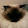 fong chung shun fong chung shun's profile photo