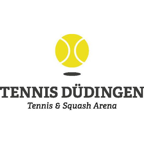 Tennis-Sport Düdingen AG logo