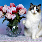Scrapbook photo 1