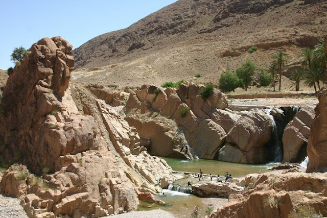 اضغط على الصورة لرؤيتها بالحجم الطبيعي