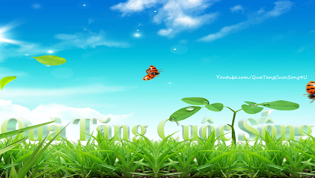 Cover photo
