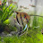 C. Moke avatar image