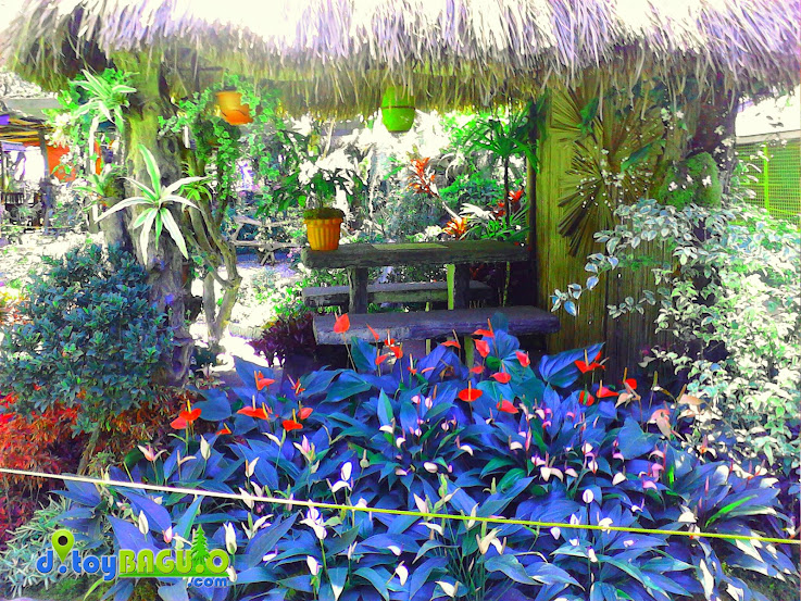 2013 Panagbenga Flower Festival Landscaping picture 5