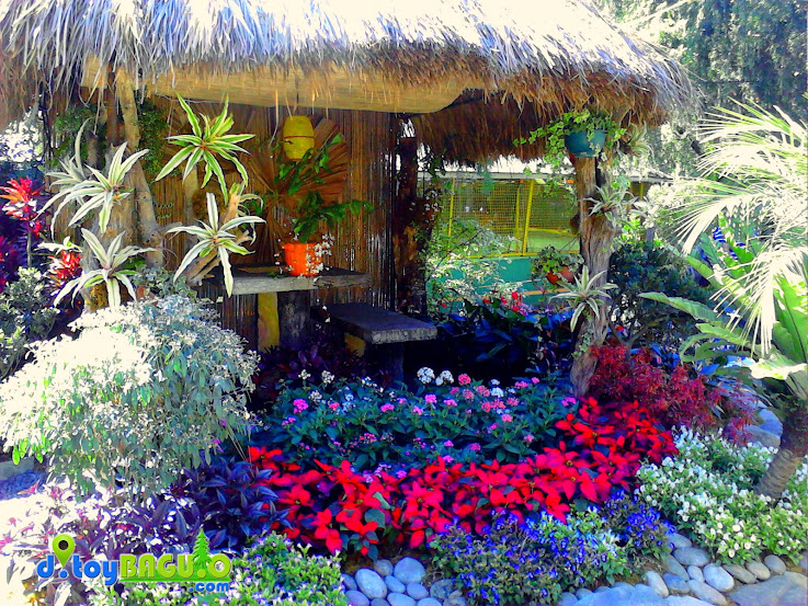 2013 Panagbenga Flower Festival Landscaping picture 24