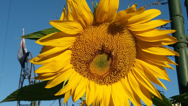 Cover photo