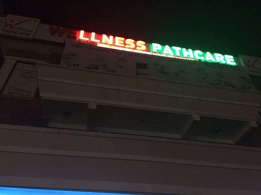 Wellness Pathcare, 2nd Floor Hari Nagar, 6, Jail Rd, Pocket AL, Janakpuri, New Delhi, Delhi 110064, India, Pathologist, state UP