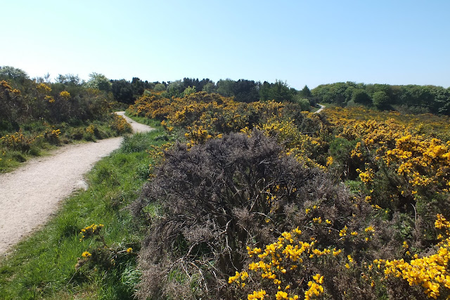 Views from Kincorth Hill
