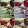 yana frinz yana frinz's profile photo